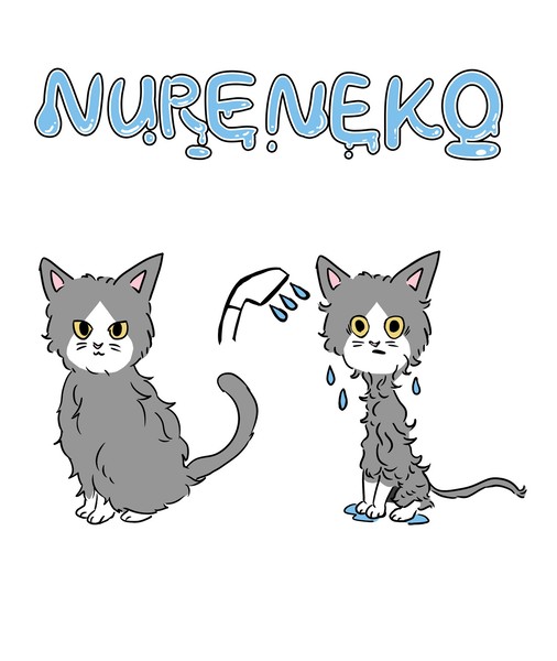NURENEKO before after