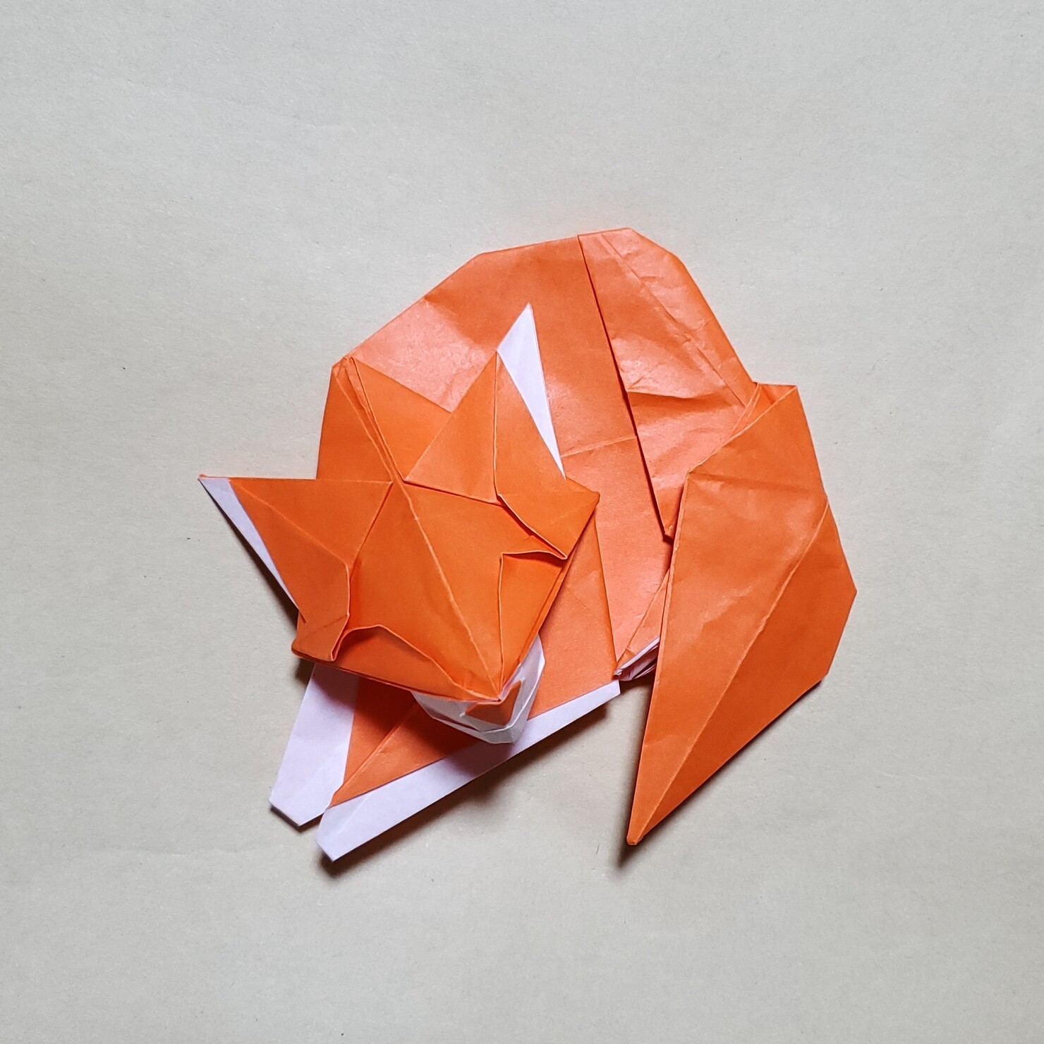 Origami Fox_icon #464/1000