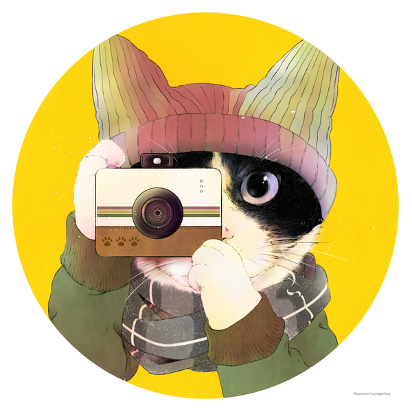 Say cheese！icon-Yellow